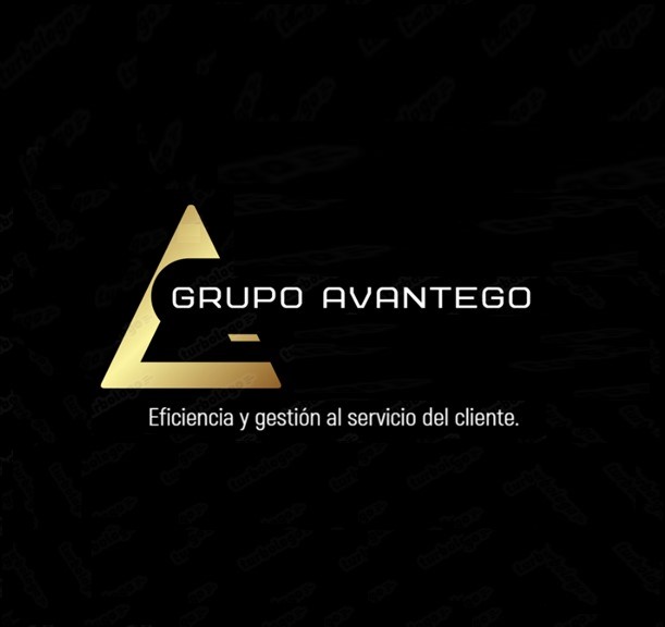 Grupo Avantego